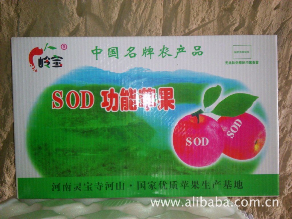 高山果园的馈赠 绿色无公害红富士苹果，品质与健康的承诺