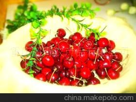 探索重庆超奇农产品 优质生鲜水果的多元化供应