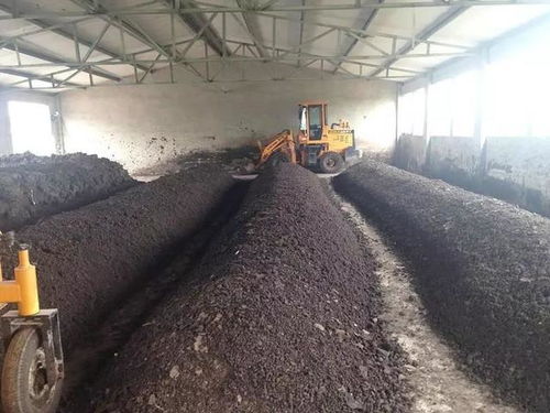 三农日报 新型农业经营者追逐规模效益，粪污变“绿肥”获政策加持