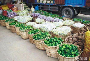 广州农产品全链条配送服务 从田间到餐桌的一站式解决方案